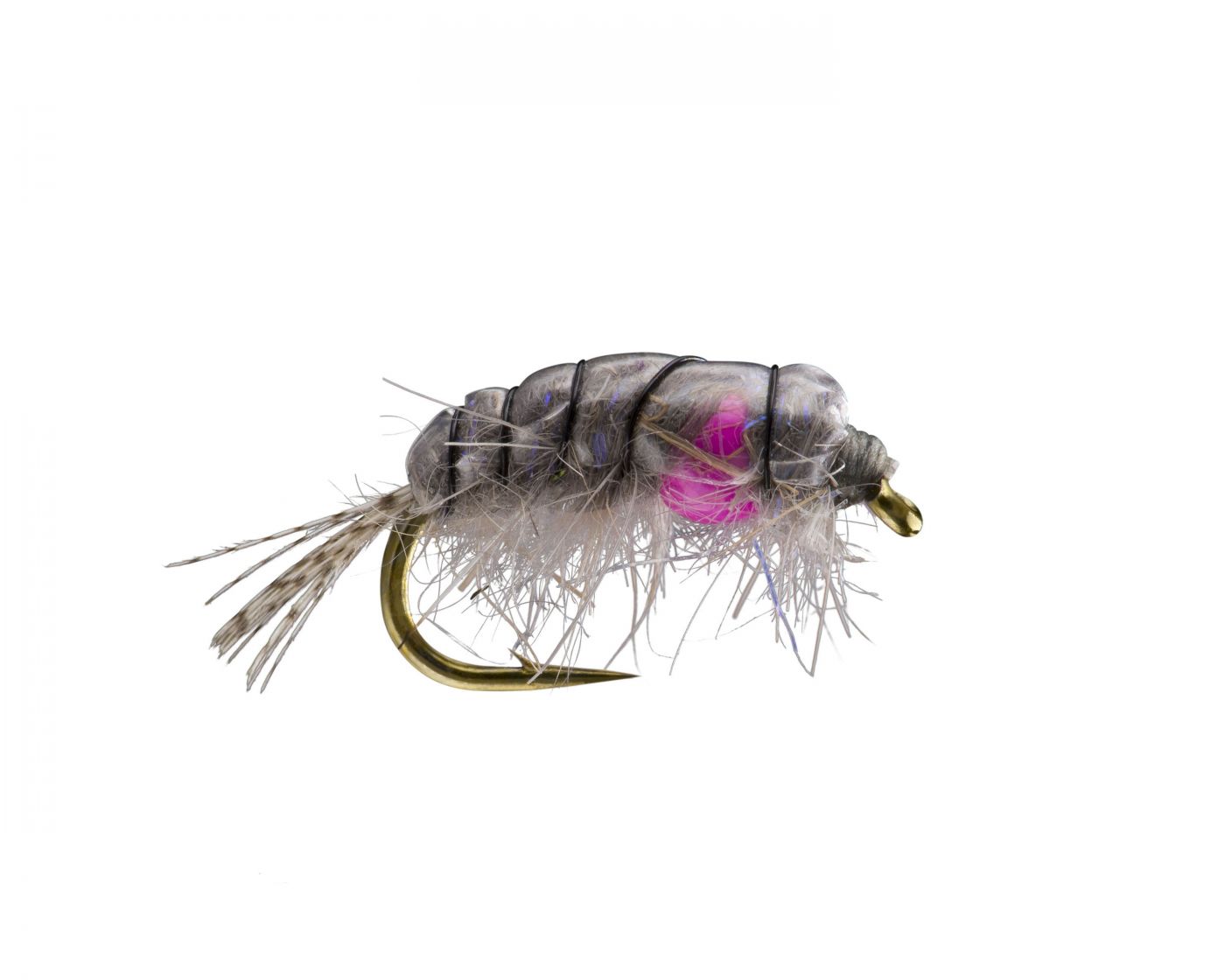 Coulee Scud Driftless Angler