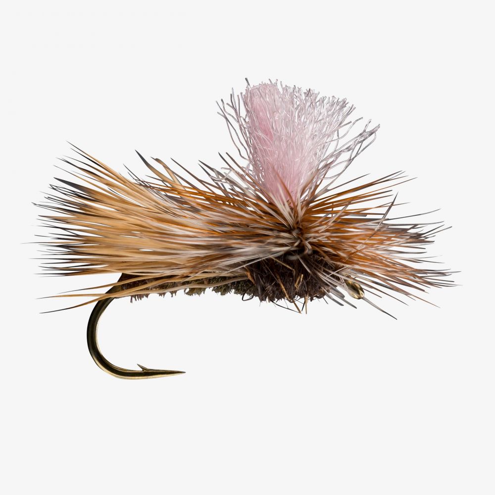 Parachute Caddis