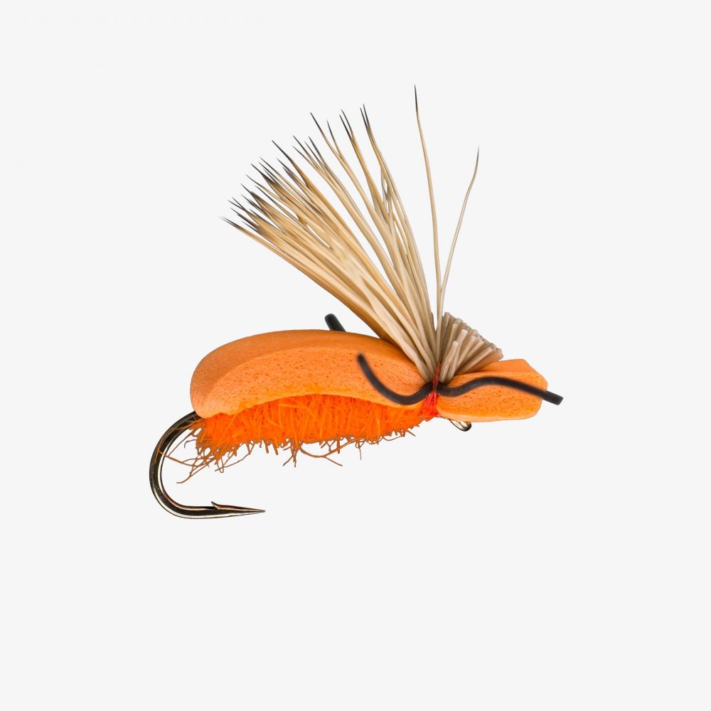Stupid Orange