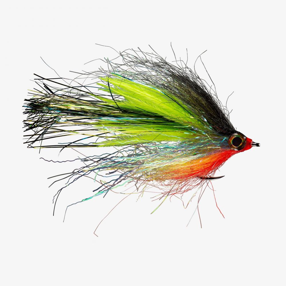 Princess Salya Bluegill