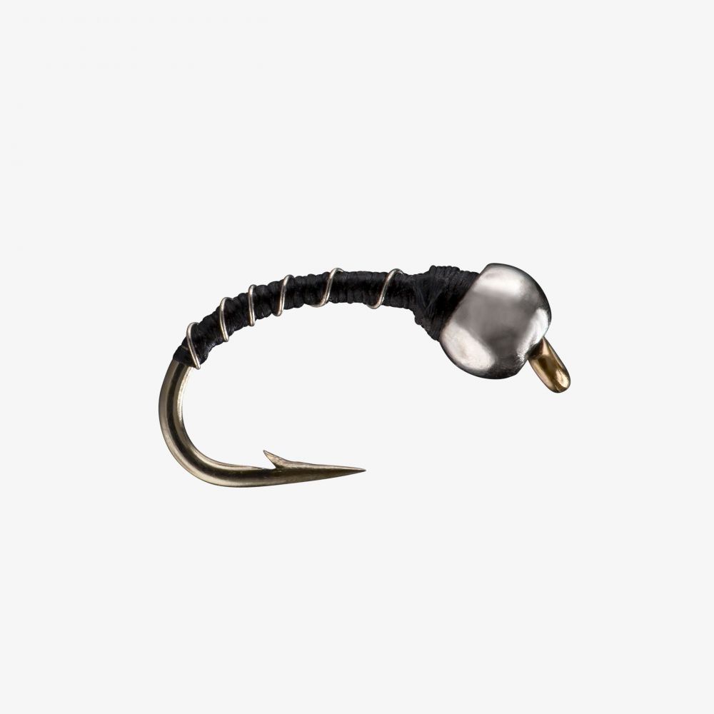 Black Zebra