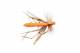 Foam Cranefly Orange