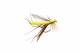 Foam Cranefly Yellow