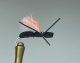 Bad Axe Purple